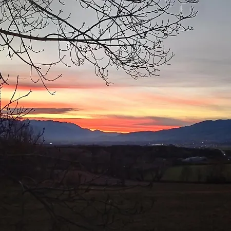 L'avet Blau * Sainte-Leocadie