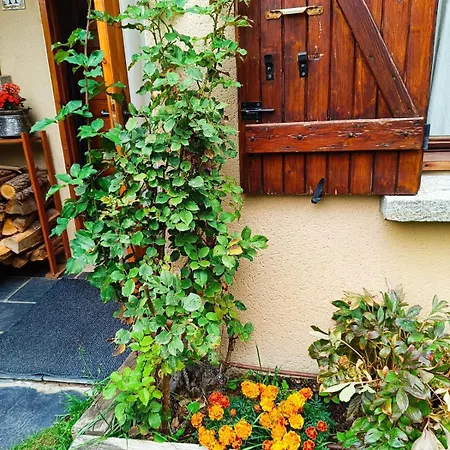 L'avet Blau Tatil Evi *