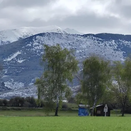 L'avet Blau *